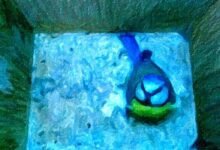 العصفور الازرق في دقيقتين